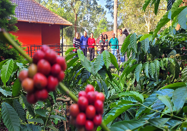 huts in wayanad